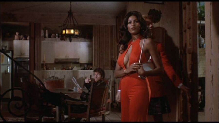 Pam Grier 17 of 29 pics