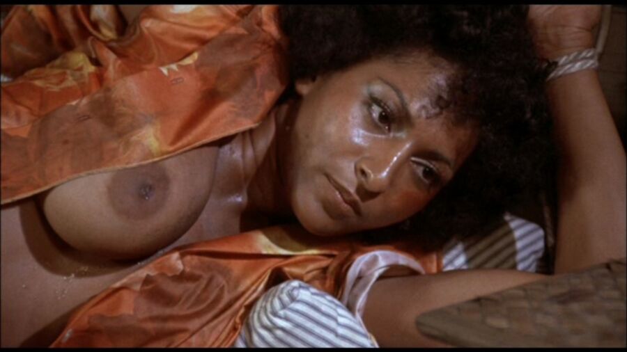 Pam Grier 8 of 29 pics