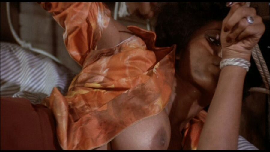 Pam Grier 11 of 29 pics