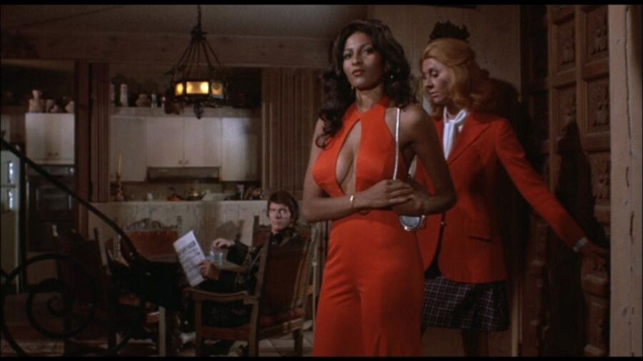 Pam Grier 16 of 29 pics