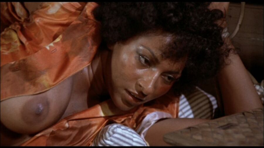 Pam Grier 14 of 29 pics