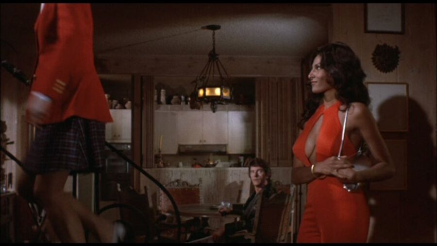 Pam Grier 18 of 29 pics